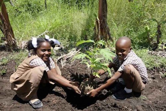 Infoveranstaltung Green Shimoni (Donnerstag, 17.10.2019, 18:00 – 12:49)