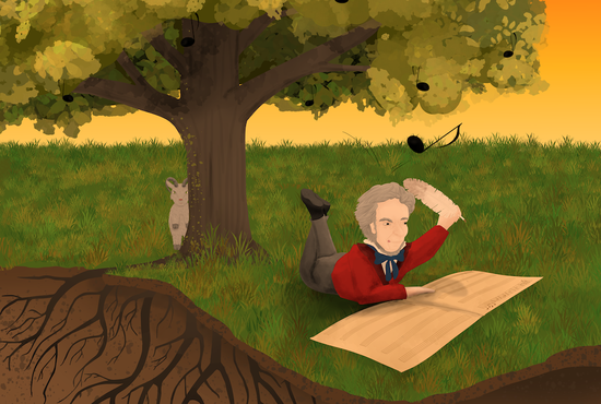 Uniorchester Bayreuth